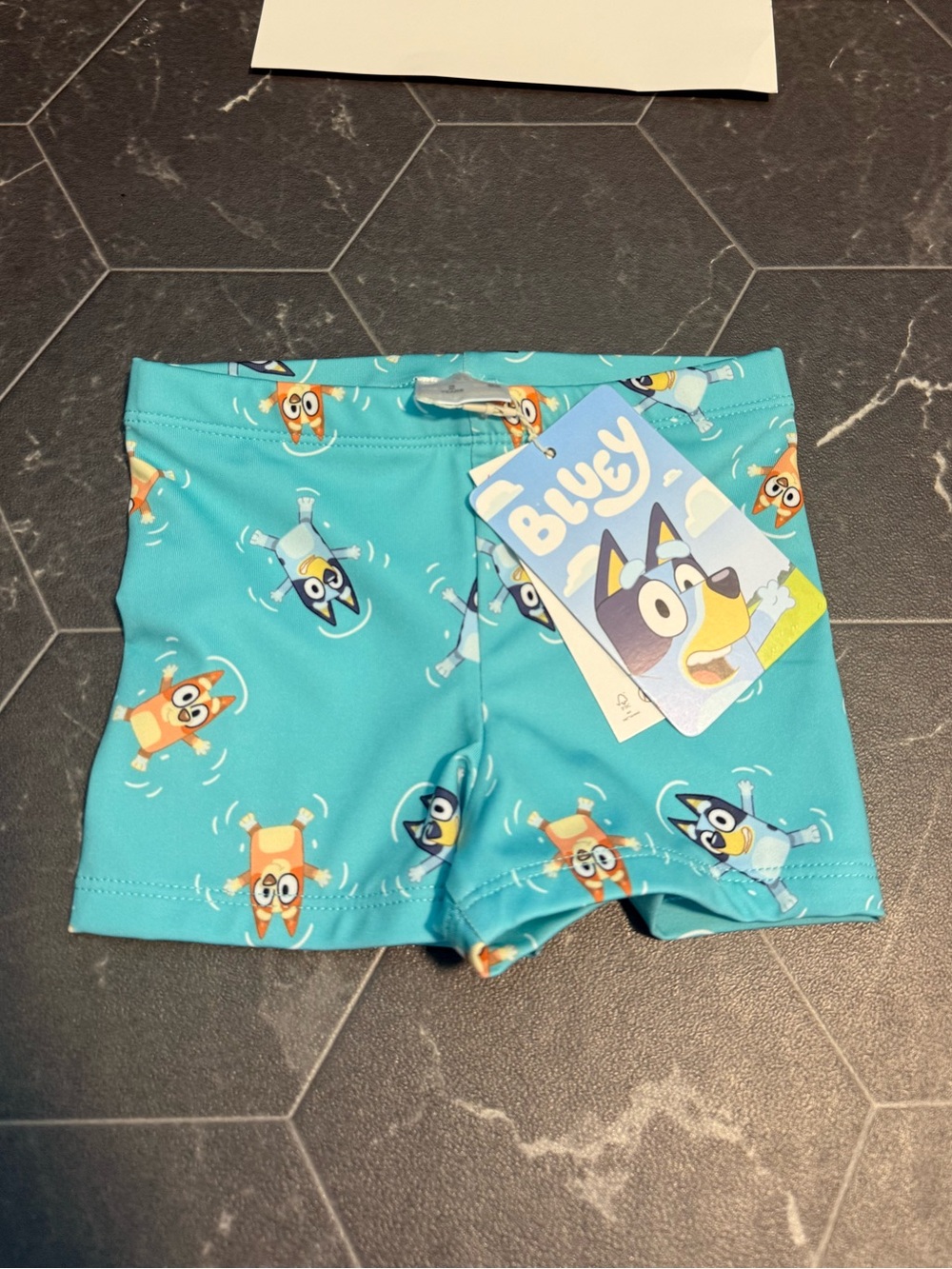 Zara Teal Bluey Swim Trunks